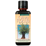 Olive Focus 300ml
