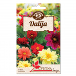 Seme Dalija Pompon 0,5g