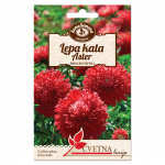 Seme Lepa Kata Aster Princess Crvena 0,5g