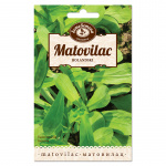 Seme Matovilac Holandski 2g