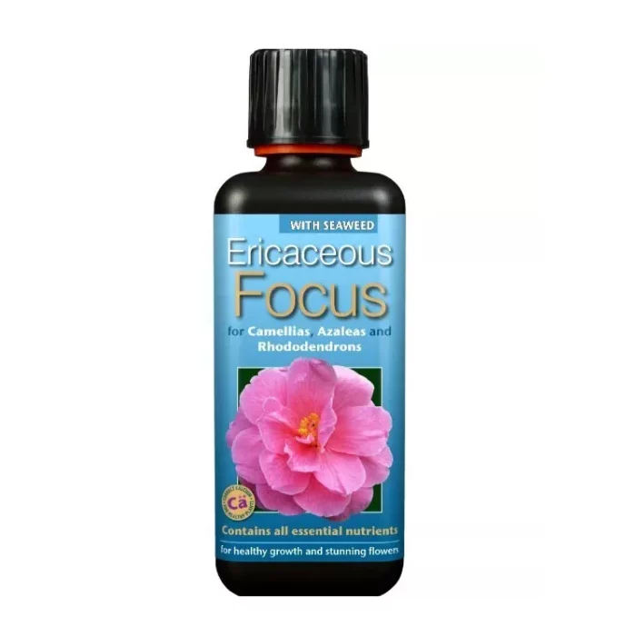 Ericaceous Focus 300ml