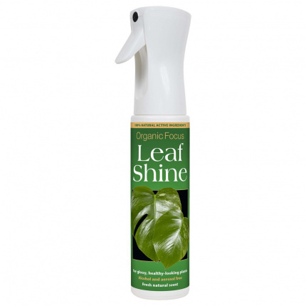 Organic Focus Leaf Shine 400ml
