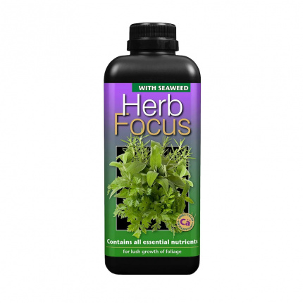 Herb Focus 1L