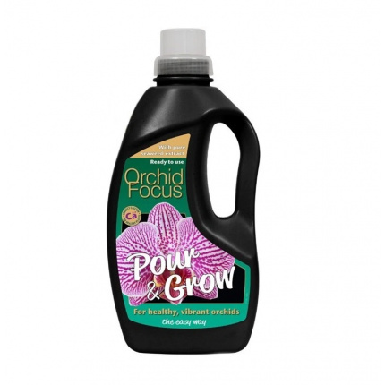 Orchid Focus Pour & Grow 1L