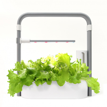 Smart Bašta Hydroponics Grow