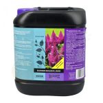 Atami B'cuzz Blossom Builder Liquid 5L