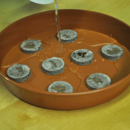 Jiffy Coco Disk 42mm