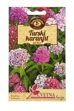 Seme Turski karanfil Dupli — prednja strana