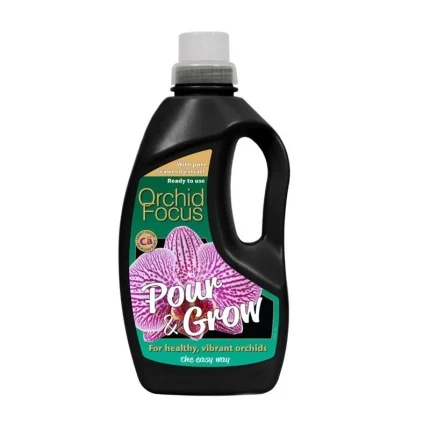 Orchid Focus Pour & Grow 1L